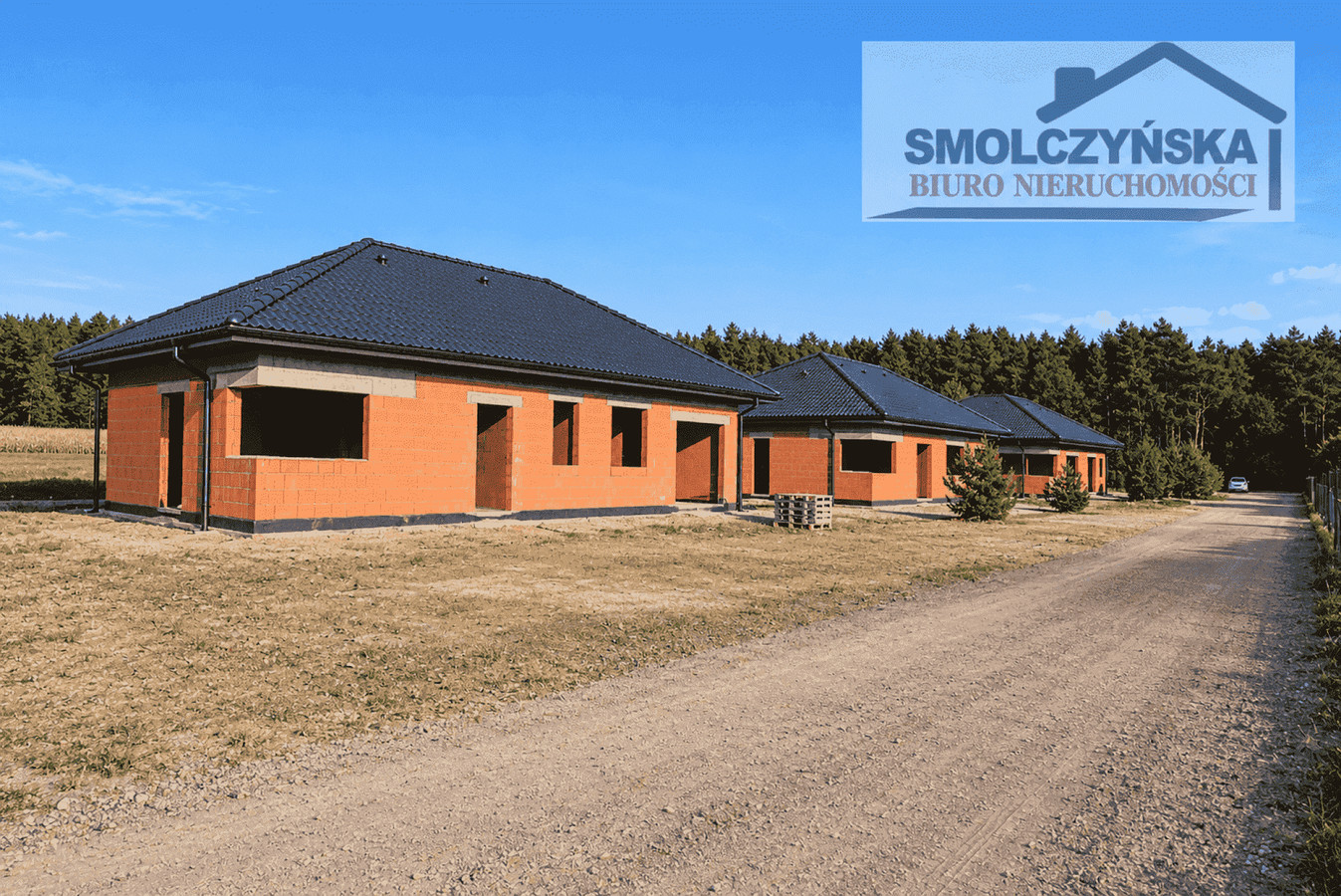 Dom – Kalisz, Osiedle Marii Konopnickiej, Czaszki - Widok 2