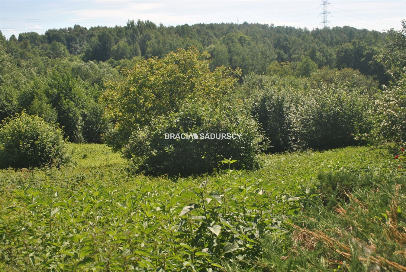 Nieruchomość budowlano -rolna w Lusinie - Widok 2