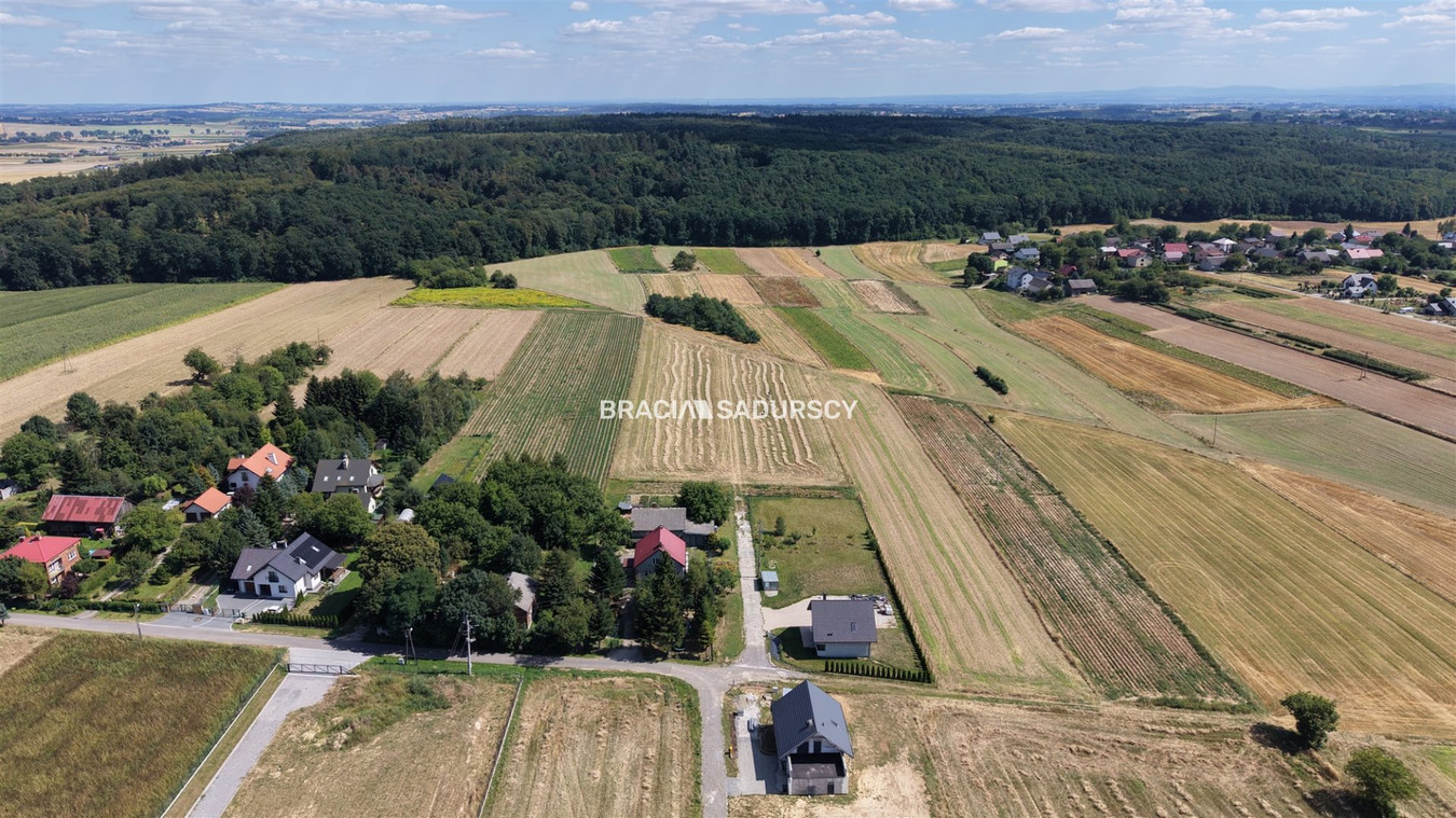 gratka-BS5-GS-316853 - Więcej