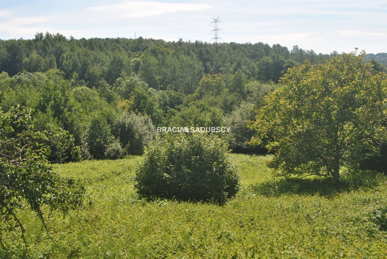 Nieruchomość budowlano -rolna w Lusinie - Widok 5