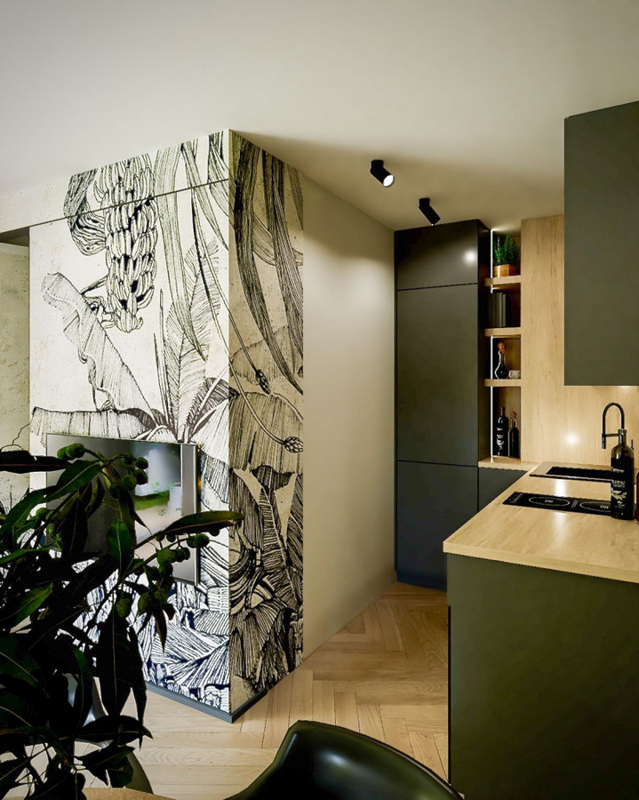 Apartment in Kraków, Bronowice Wielkie, Bronowice - Widok 2