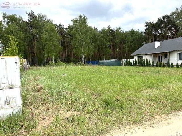 CISZA, ZIELEŃ I NATURA blisko Mosiny - Widok 5
