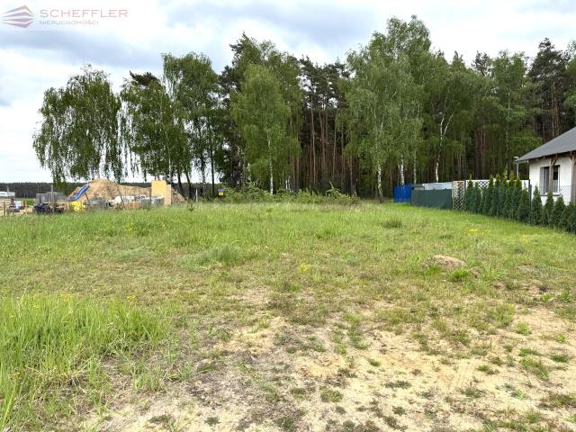 CISZA, ZIELEŃ I NATURA blisko Mosiny - Więcej