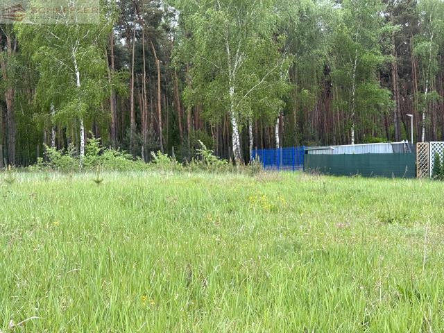 CISZA, ZIELEŃ I NATURA blisko Mosiny - Widok 2