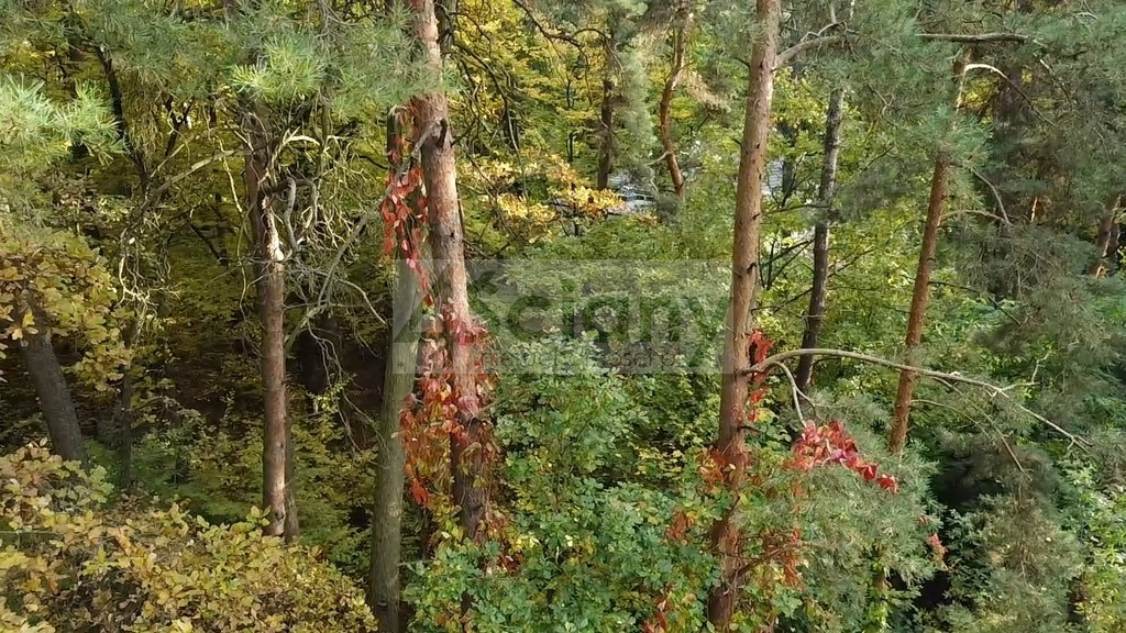 Rezydencjonalna, leśna działka - View 5