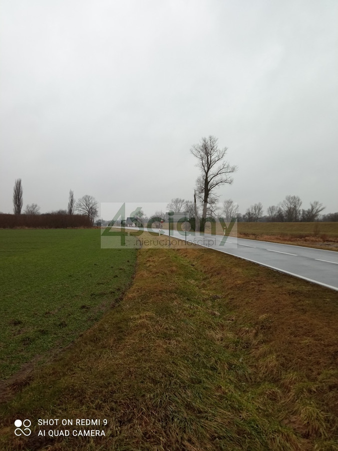 Działka rekreacyjna nad Wisłą - Widok 3