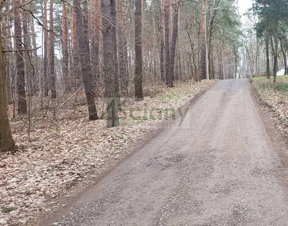 Atrakcyjna działka w Sękocinie Las - Widok 3