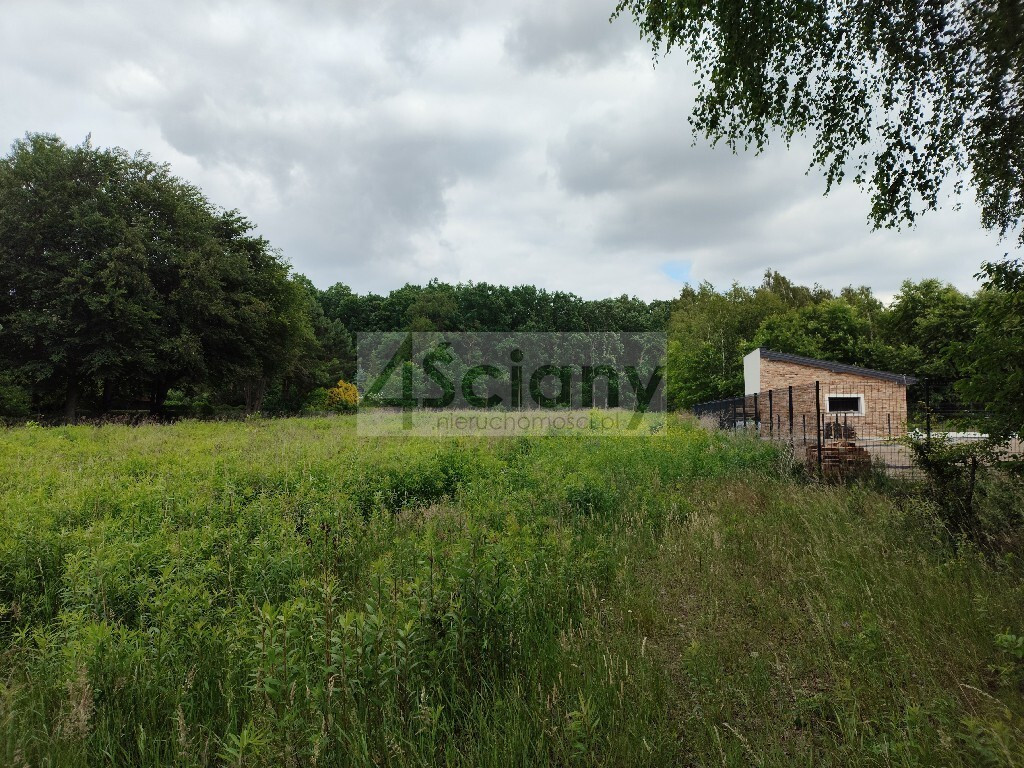 Działka z lasem w Strzeniówce - Widok 3