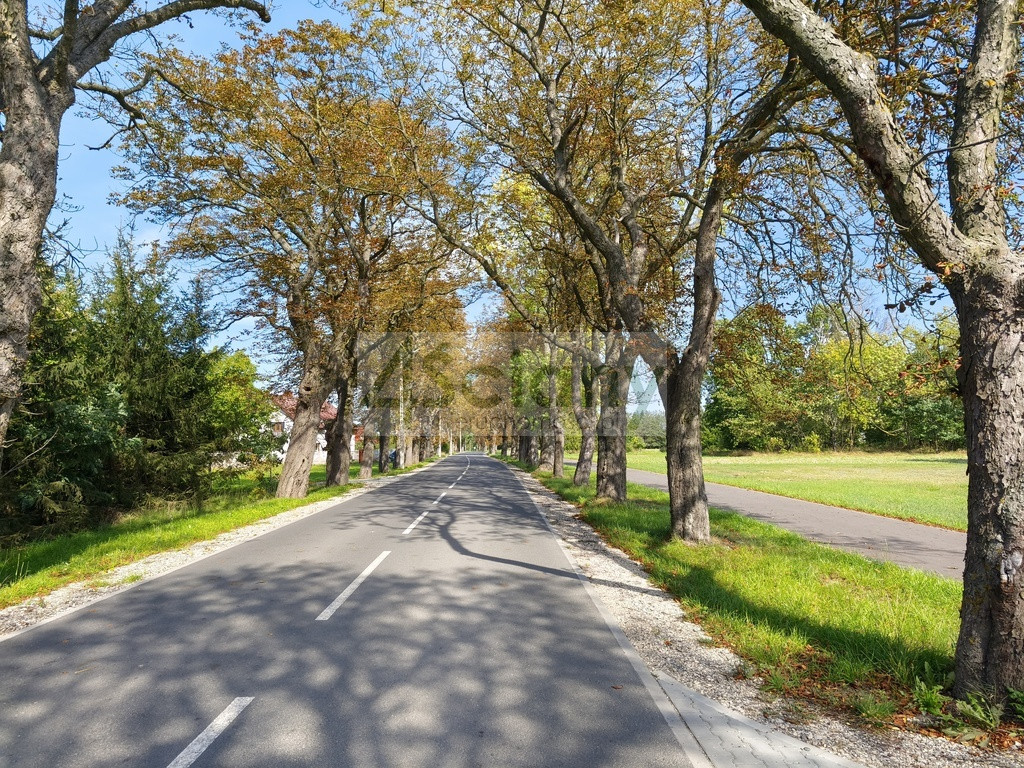 Piekne działka w Zarębach - Widok 2