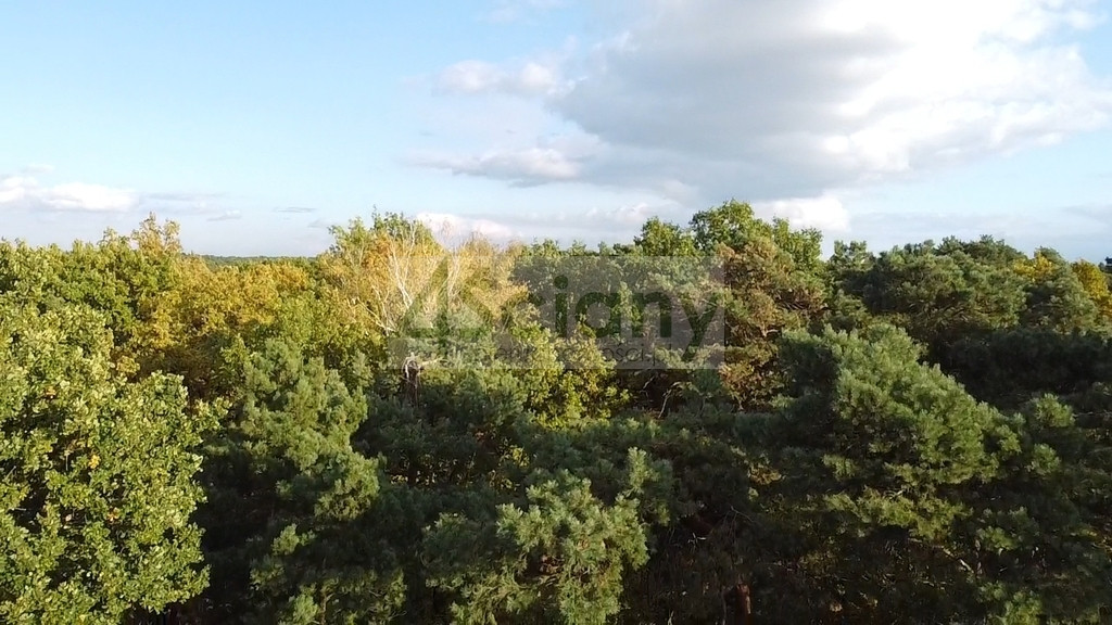 Rezydencjonalna, leśna działka - View 2
