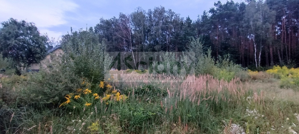 gratka-10623/3098/OGS - Widok 4