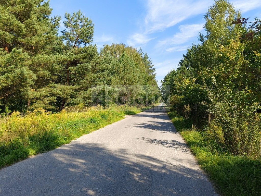 Piekne działka w Zarębach - Widok 4