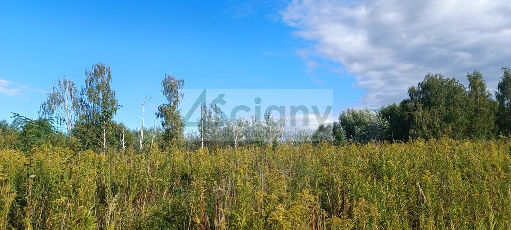 gratka-10640/3098/OGS - Widok 2