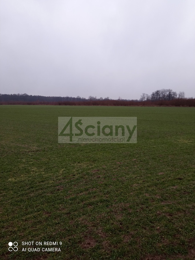 Działka rekreacyjna nad Wisłą - Widok 2