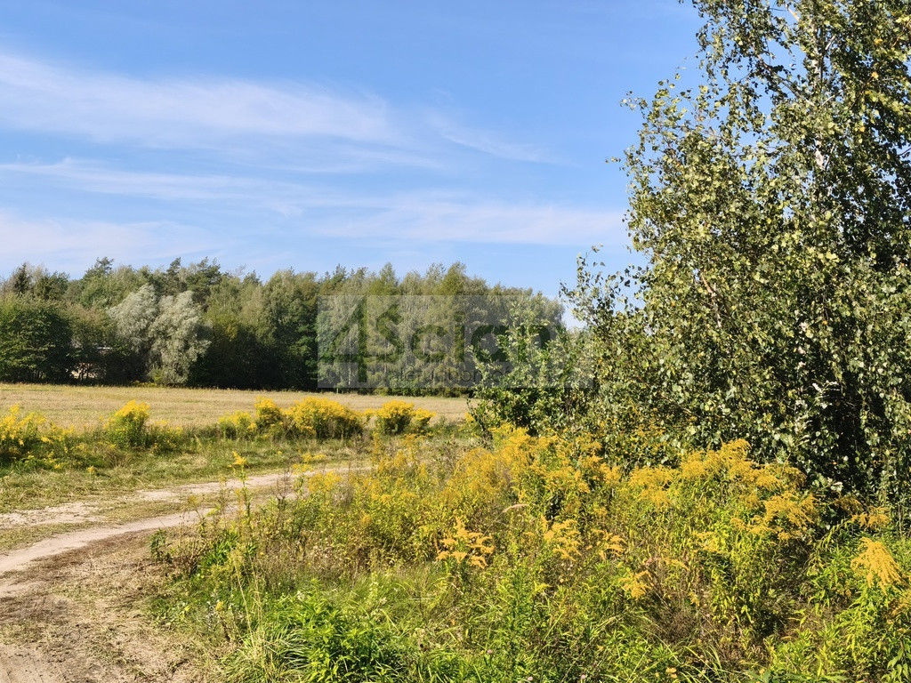 Piekne działka w Zarębach - Widok 3