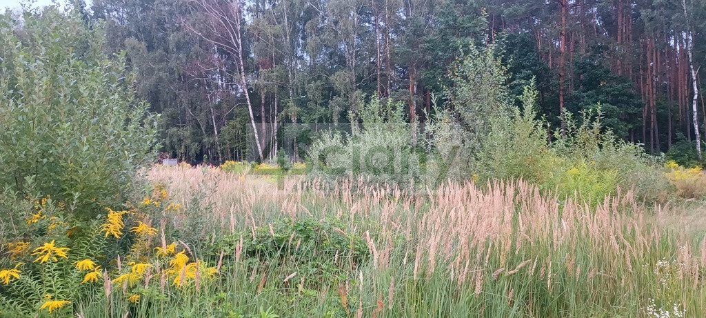 gratka-10623/3098/OGS - Widok 3