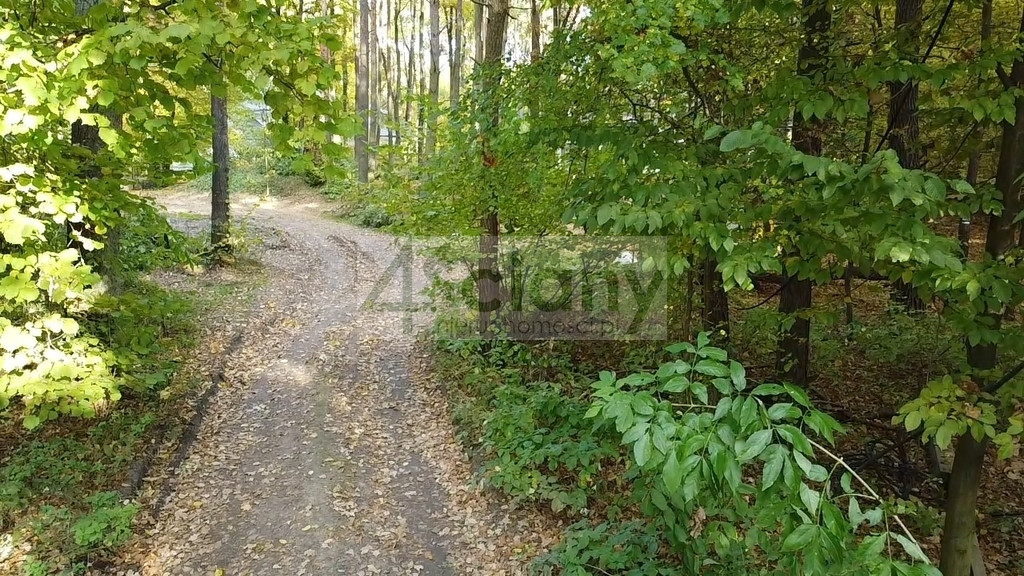 Rezydencjonalna, leśna działka - View 4