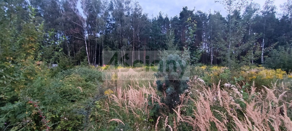 gratka-10623/3098/OGS - Widok 2