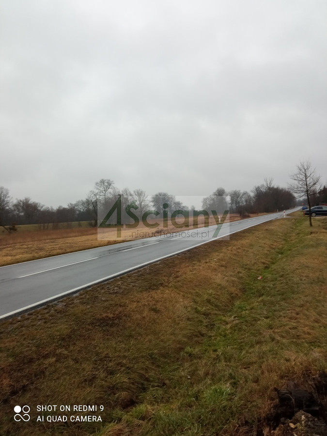 Działka rekreacyjna nad Wisłą - Widok 4