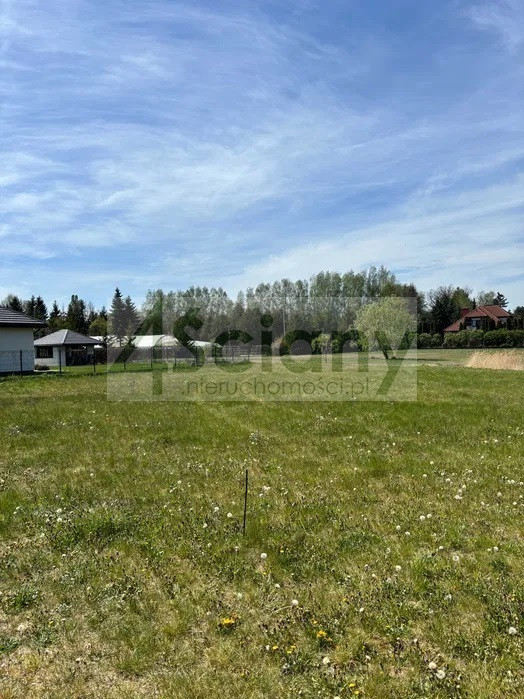 gratka-10558/3098/OGS - Widok 2