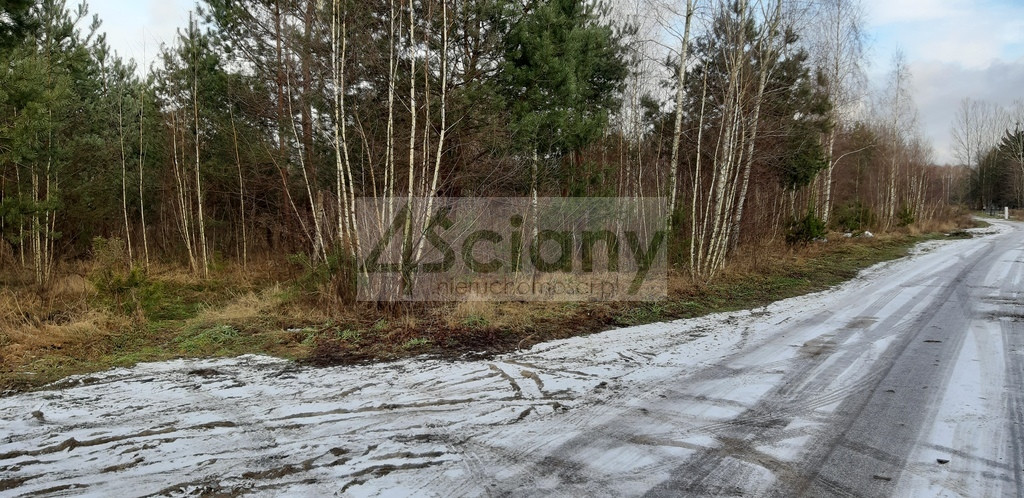 Las i Strzeniówka = dom - Widok 3