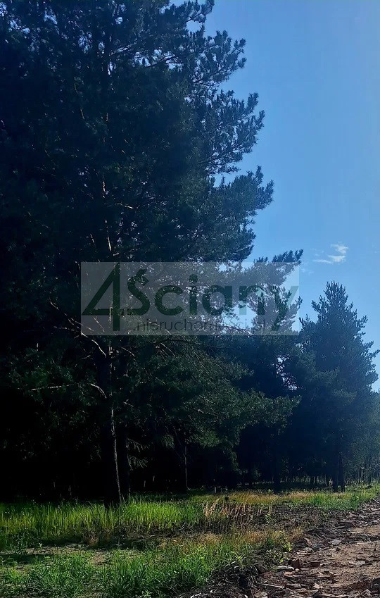 gratka-10615/3098/OGS - Widok 2