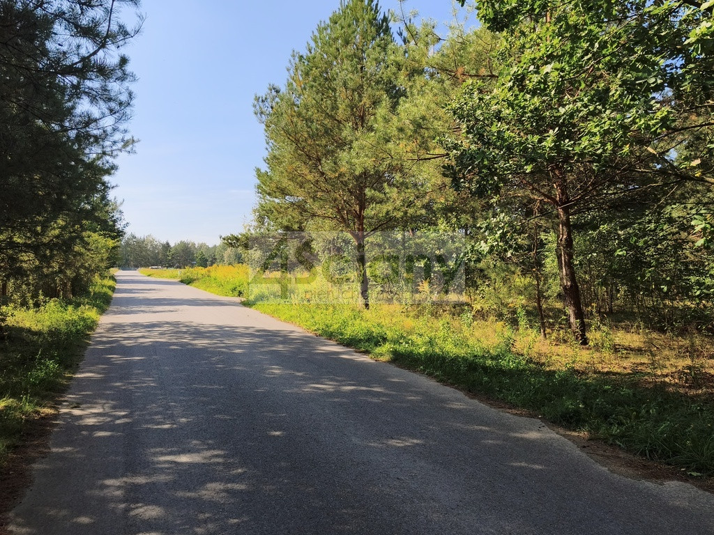 Piekne działka w Zarębach - Widok 5