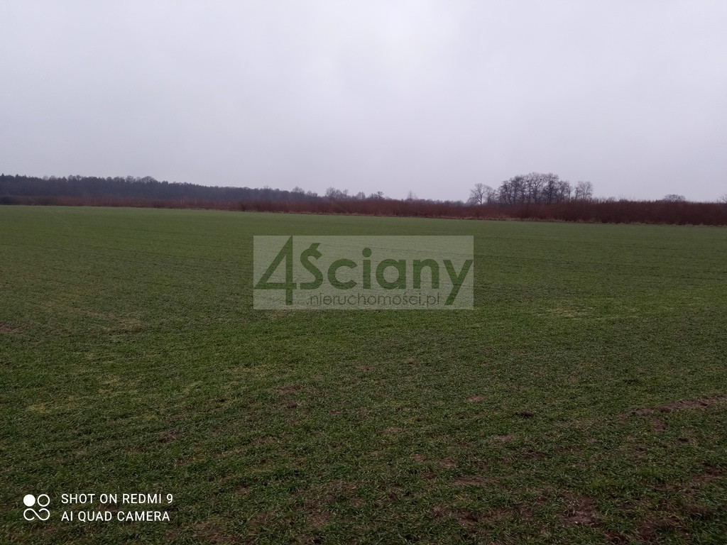Działka rekreacyjna nad Wisłą - Więcej