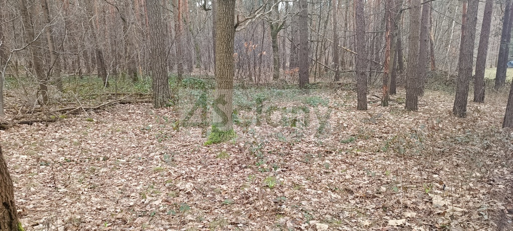 Atrakcyjna działka w Sękocinie Las - Widok 2