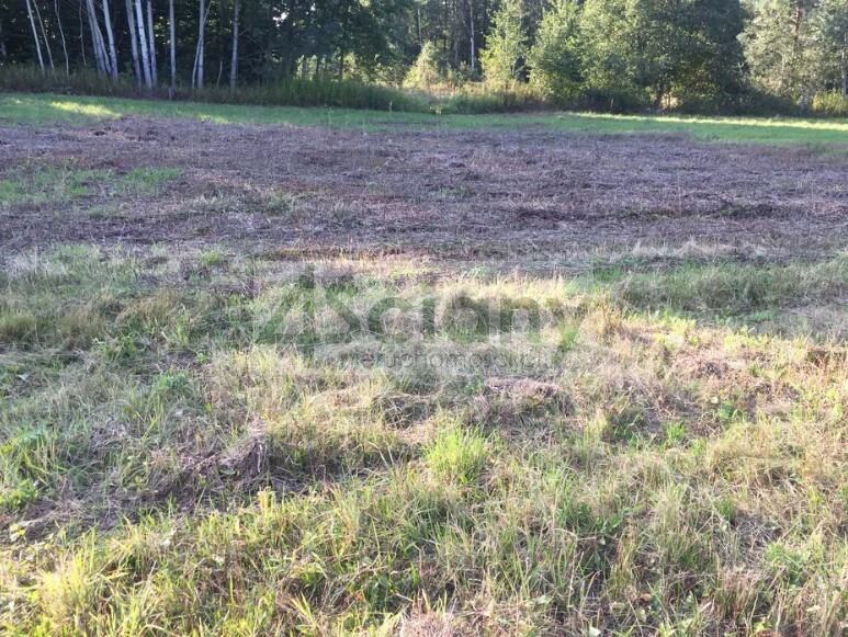 gratka-10348/3098/OGS - Widok 2