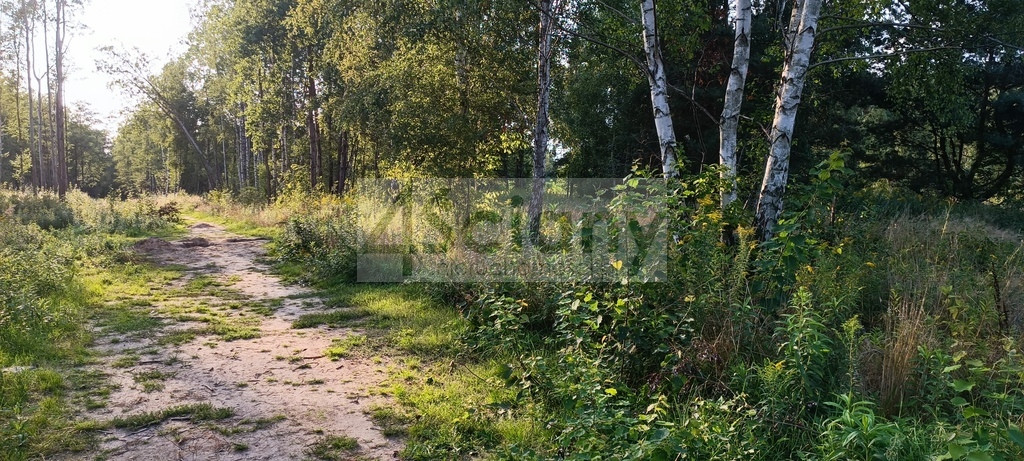 Czarny Las, piekna dzialka
