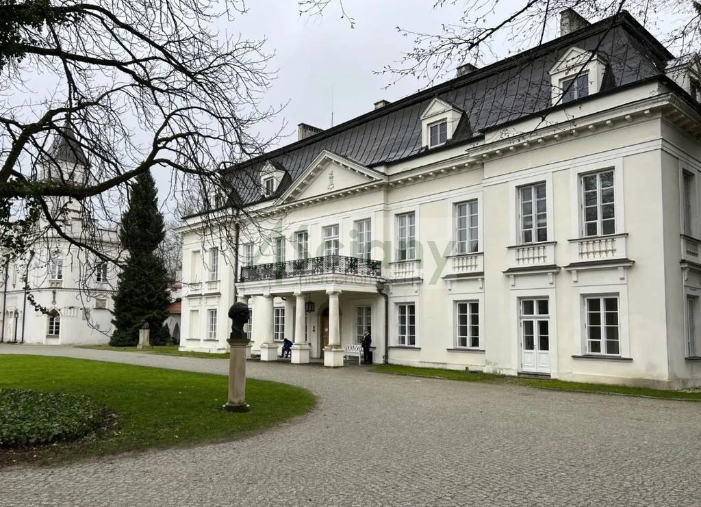 Urocza działka blisko Parku i Pałacu Radziejowice - Widok 2