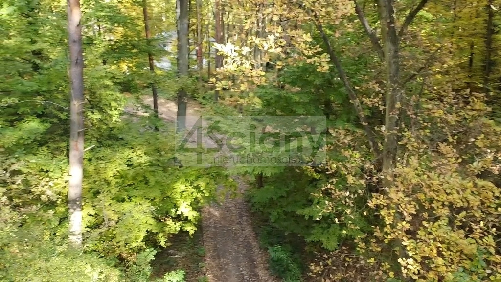 Rezydencjonalna, leśna działka - View 3