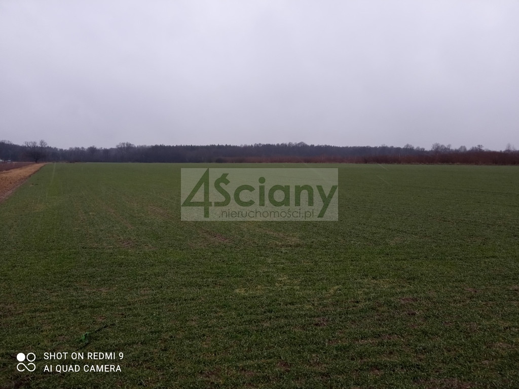 Działka rekreacyjna nad Wisłą - Widok 5