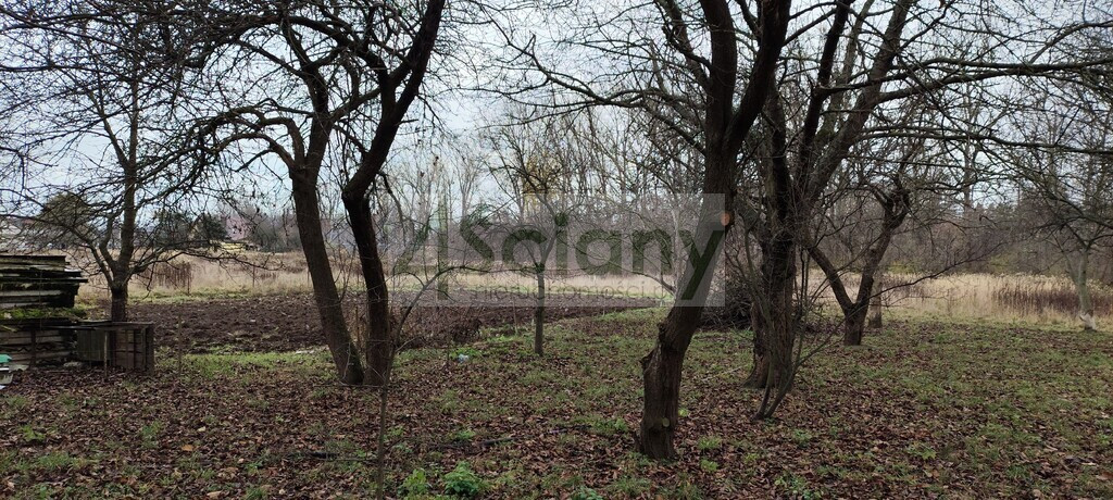 Działka Białołęka jako inwestycja na przyszłość - Widok 4