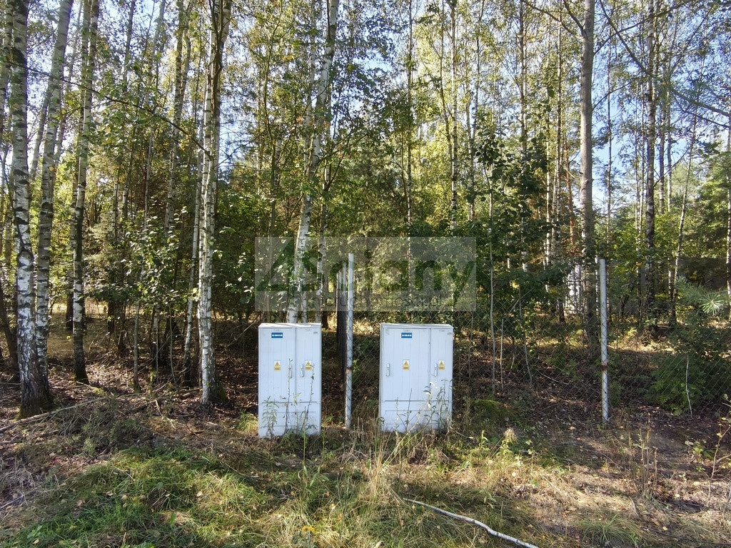 Piekne działka w Zarębach - Więcej