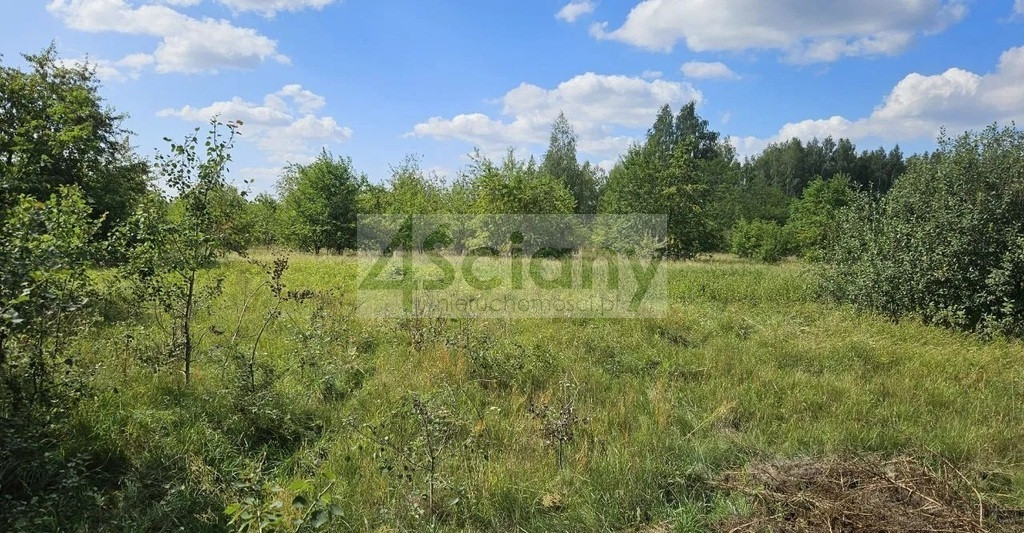 gratka-10627/3098/OGS - Widok 2