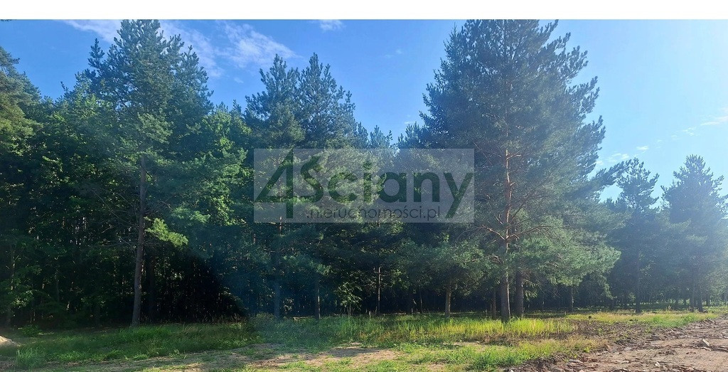 gratka-10615/3098/OGS - Widok 3