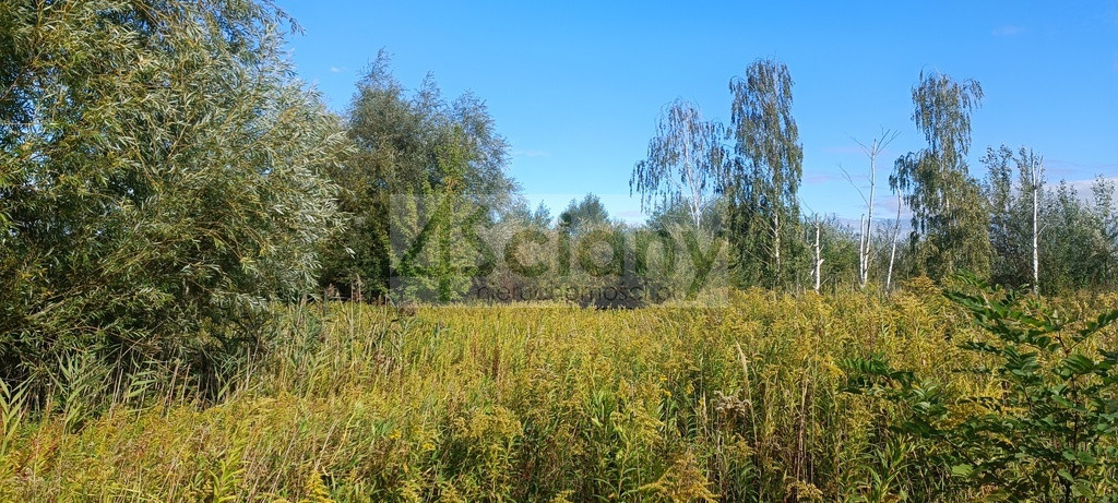 gratka-10641/3098/OGS - Widok 2