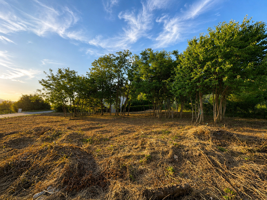 1192 m² I widok na Ślężę I asfalt I woda i kanaliz - Więcej