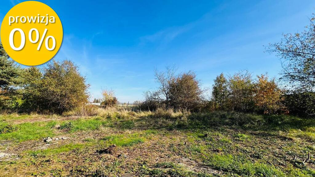 Dom – Wisznia Mała, Szewce - Więcej