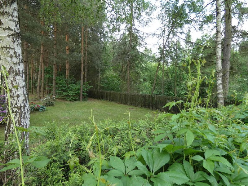 gratka-6104-S001CS - Widok 5