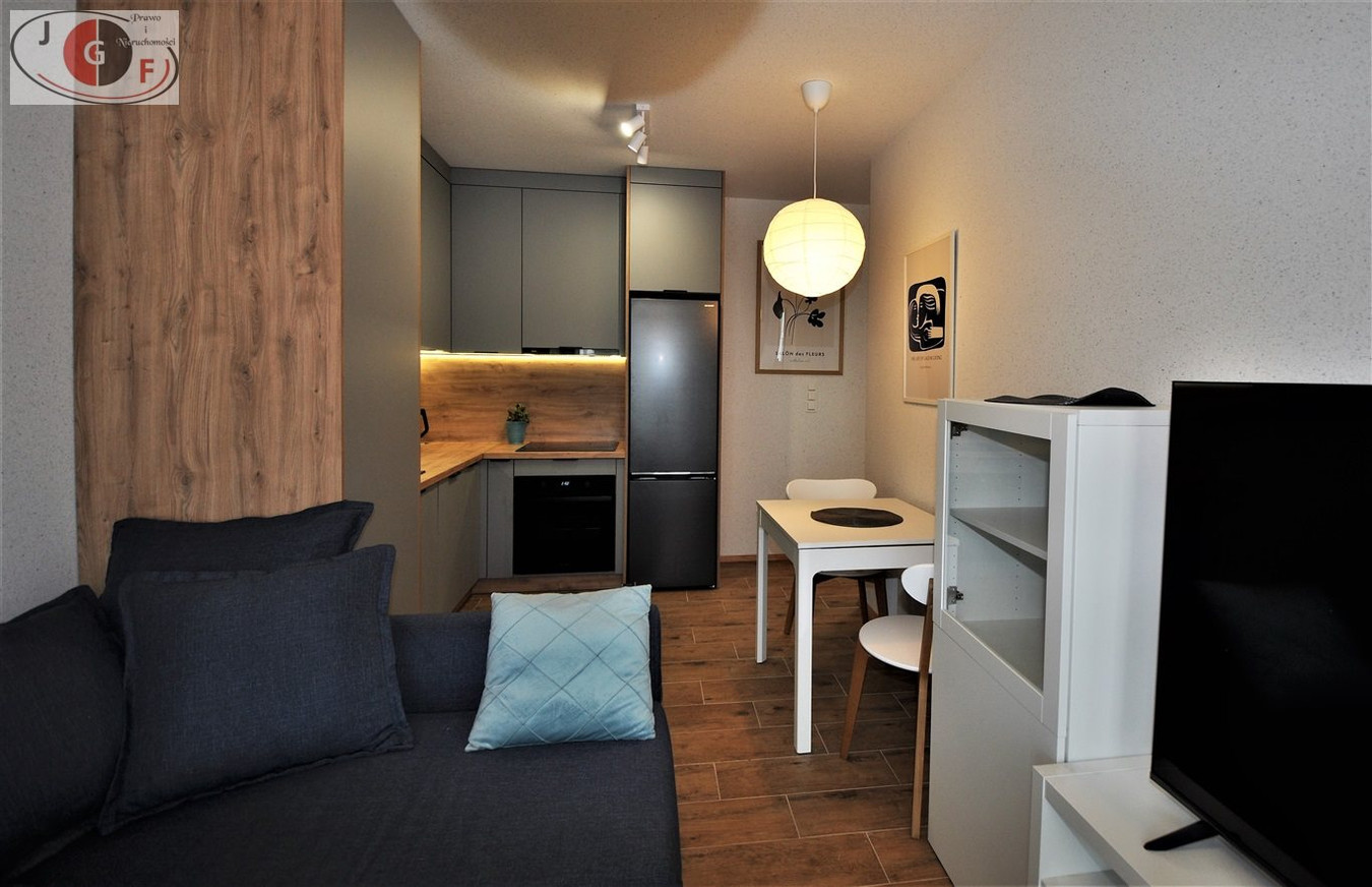 Apartment in Zabrze, Grzybowice - Widok 2