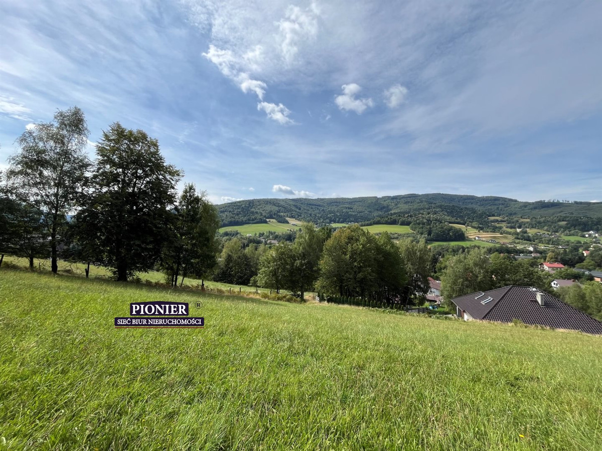 PRZEPIĘKNE WIDOKI, DOJAZD CAŁOROCZNY - Widok 3