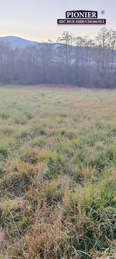 DZIAŁKA PRZEMYSŁOWO USŁUGOWA - Widok 5