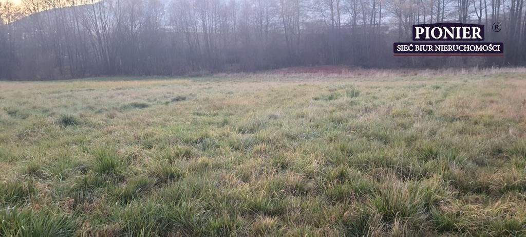 DZIAŁKA PRZEMYSŁOWO USŁUGOWA - Widok 3