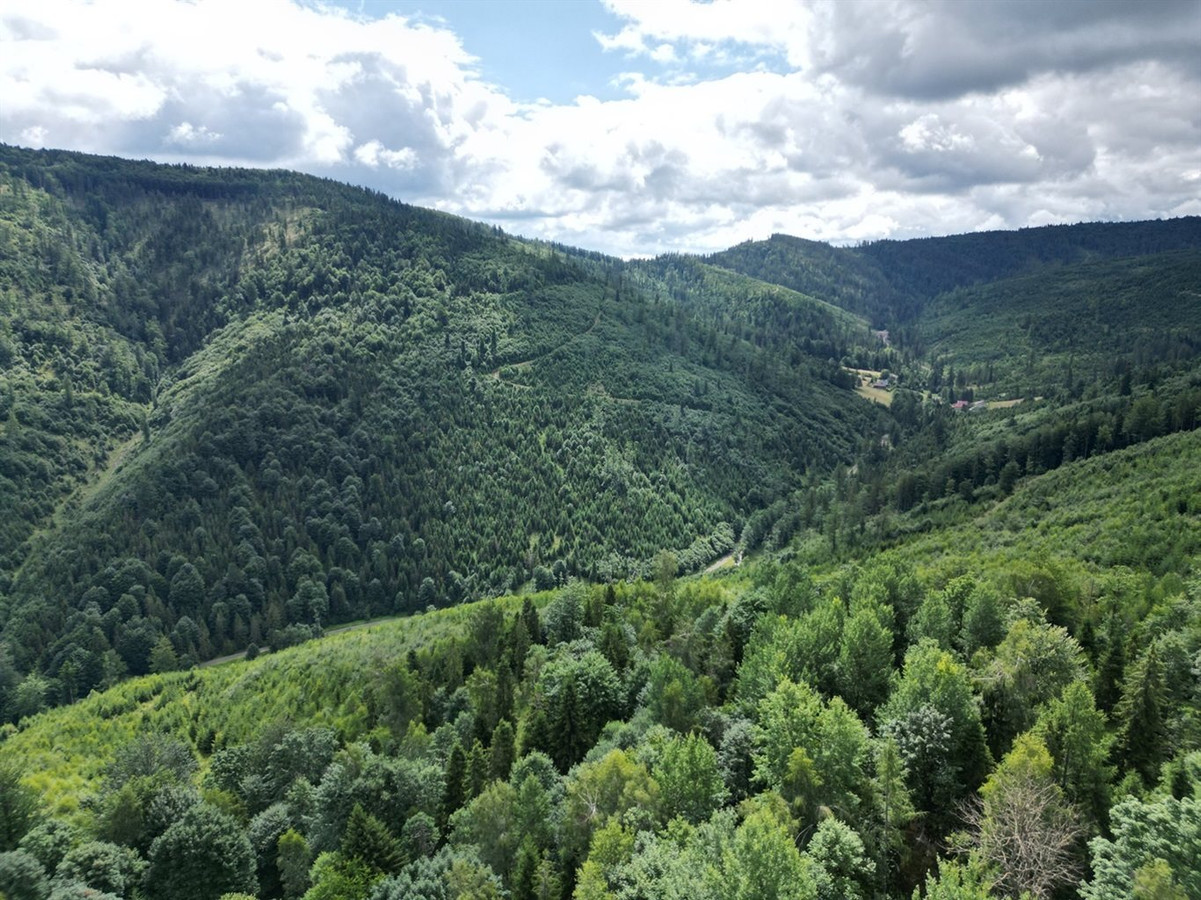 Ponad 3 ha widokowego terenu w górach - Soblówka - Widok 3