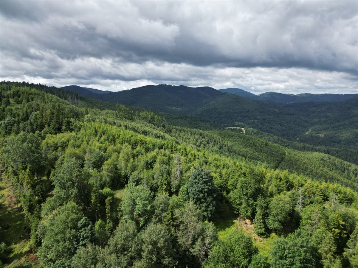 Ponad 3 ha widokowego terenu w górach - Soblówka - Widok 2