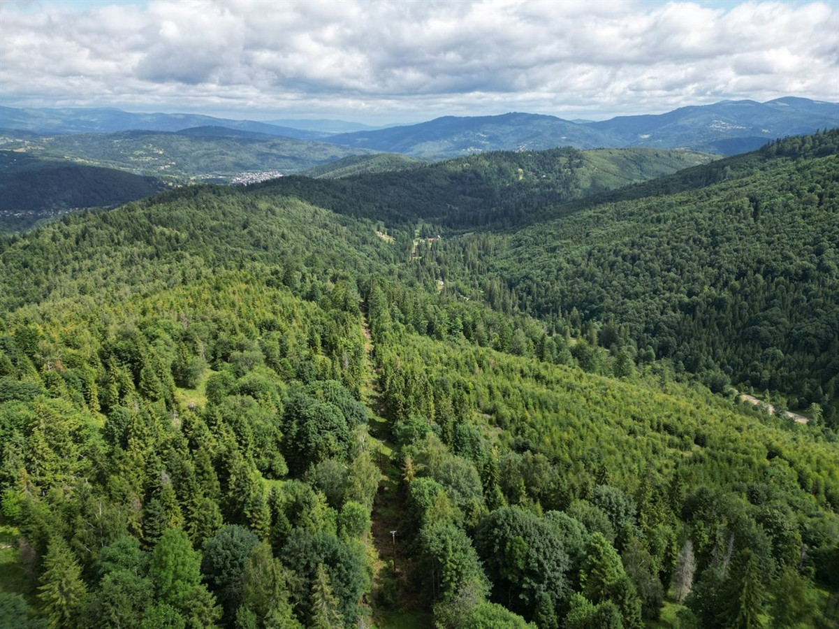 Ponad 3 ha widokowego terenu w górach - Soblówka - Widok 4