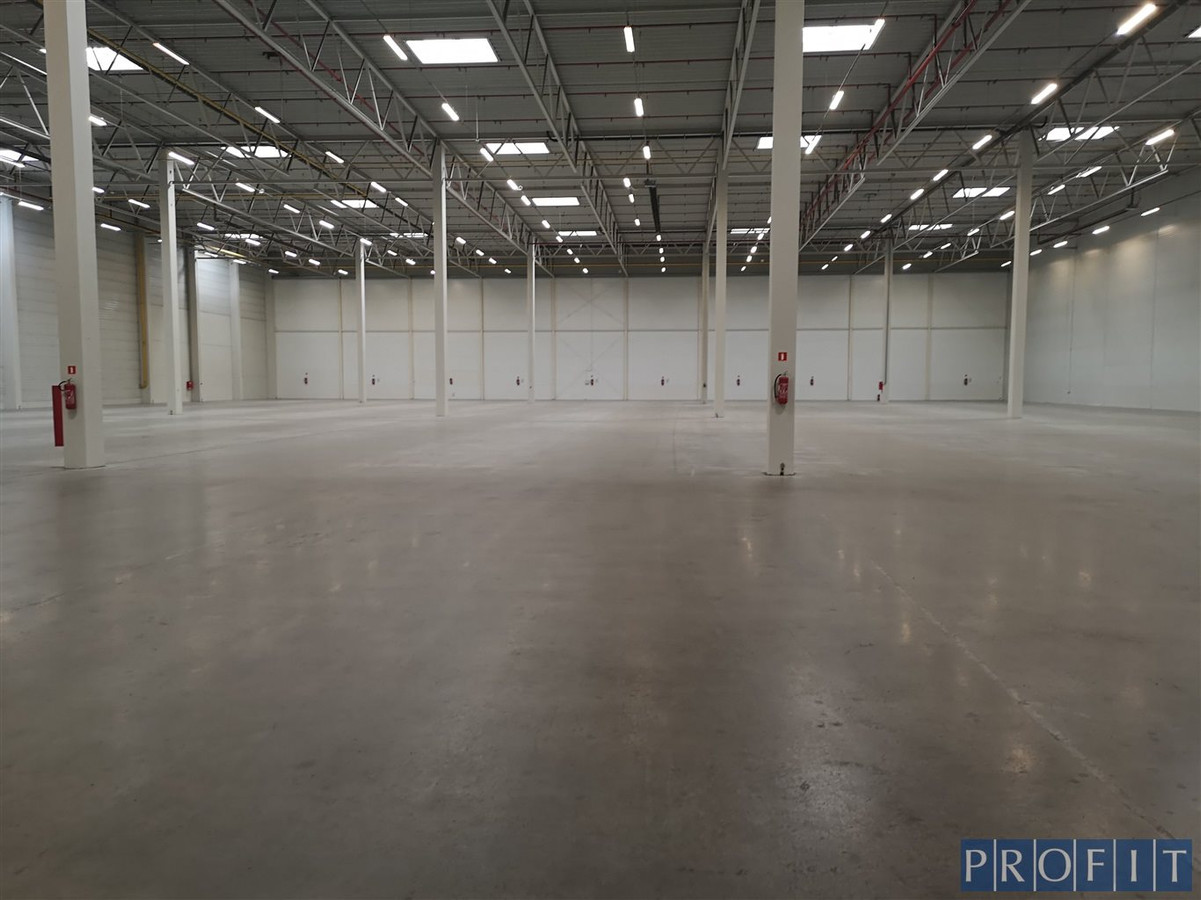 Magazyn 2337m²,4 x dok ,3Xpoziom 0 - Widok 3